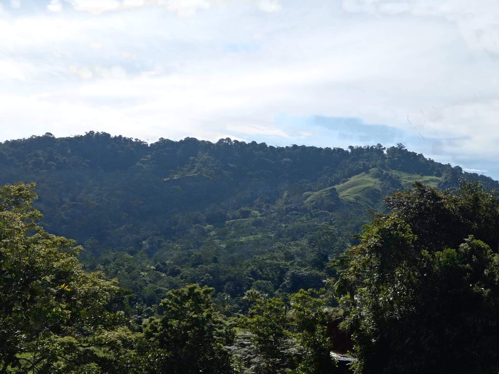 79Acre Farm In Tinamastes, Costa Rica