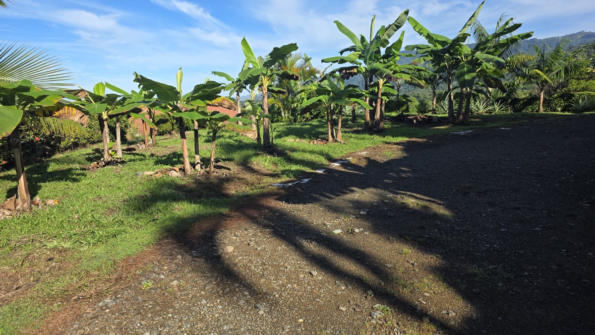 Ocean View Homes and Apartment Near Uvita Town Center selected