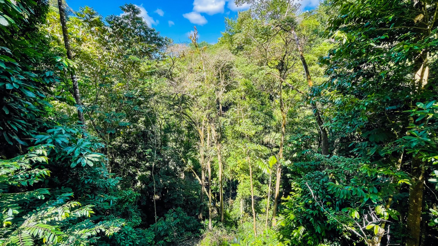 Nature Retreat Estate – Southern Pacific Zone, Costa Rica selected