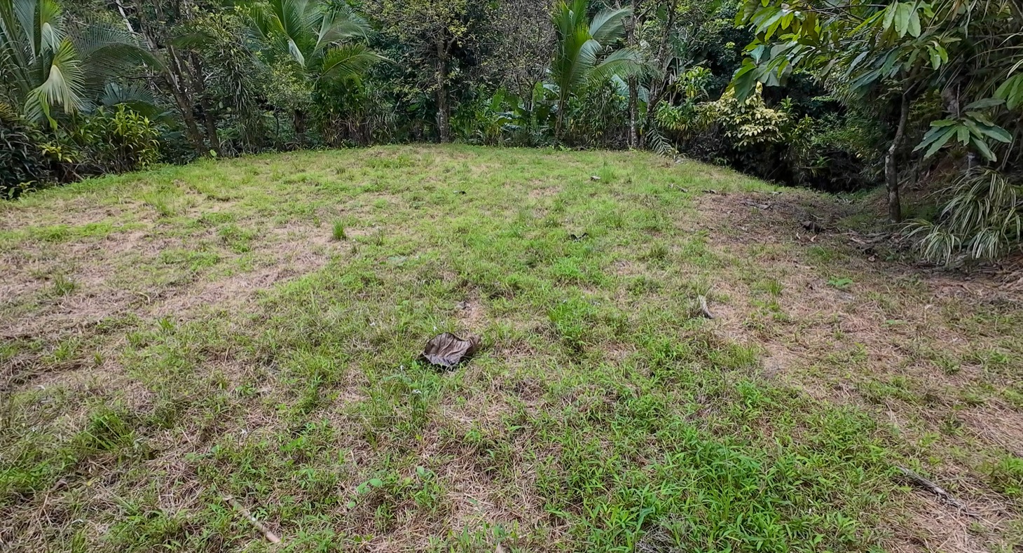 Stunning 16 acre Ocean View Property San Buenas, Costa Rica  selected