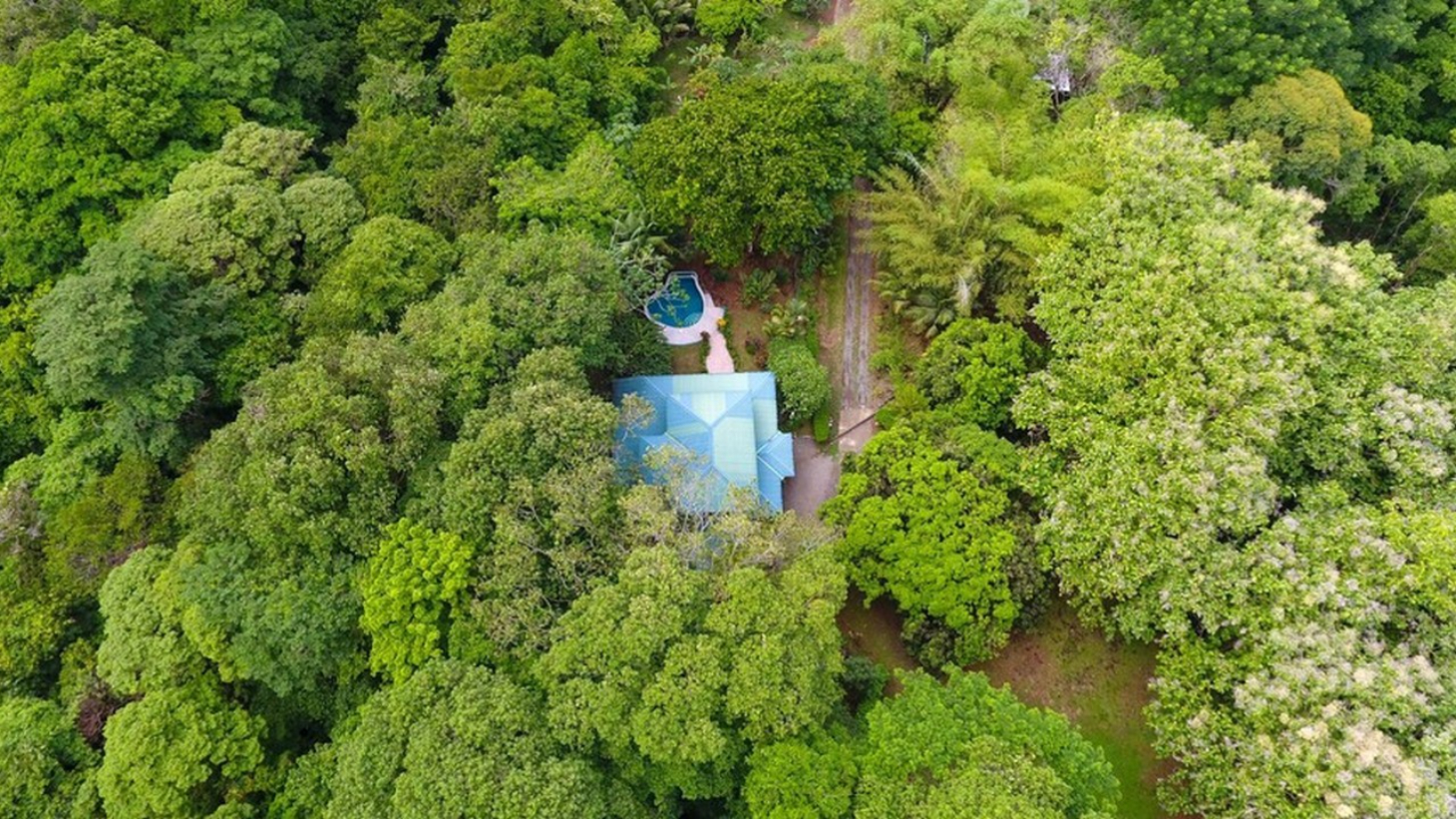 Whale's Tail Ocean View Estate with Extra Lot in Uvita selected