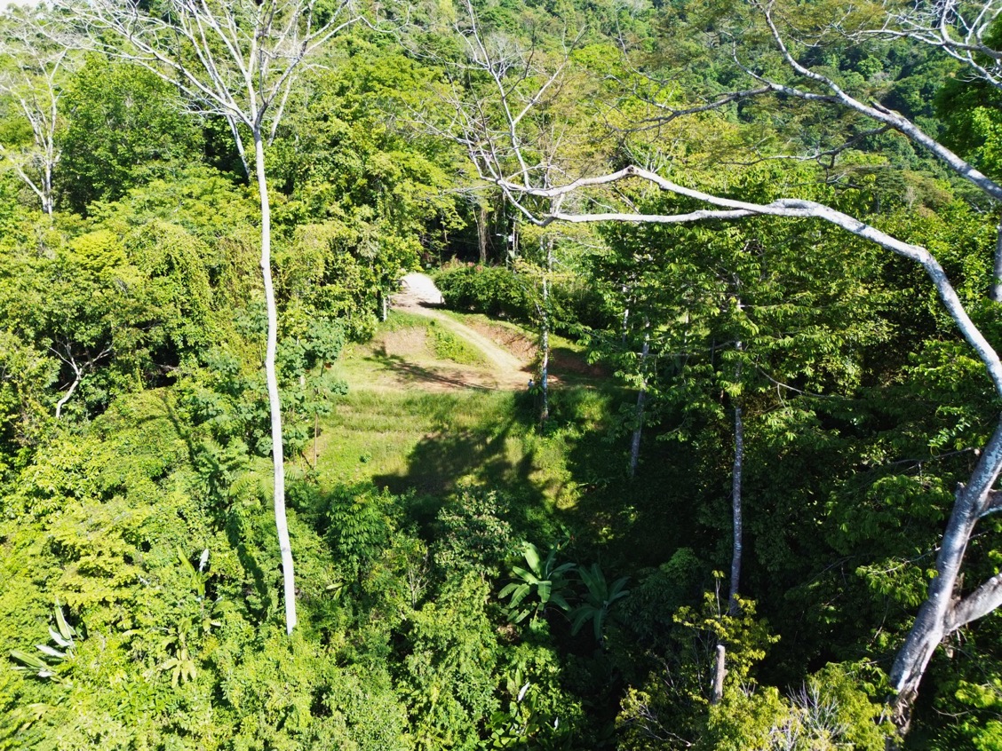Build-Ready Ocean View Homesite Above Uvita – Iconic Ballena Rock Views & Prime Hillside Setting selected