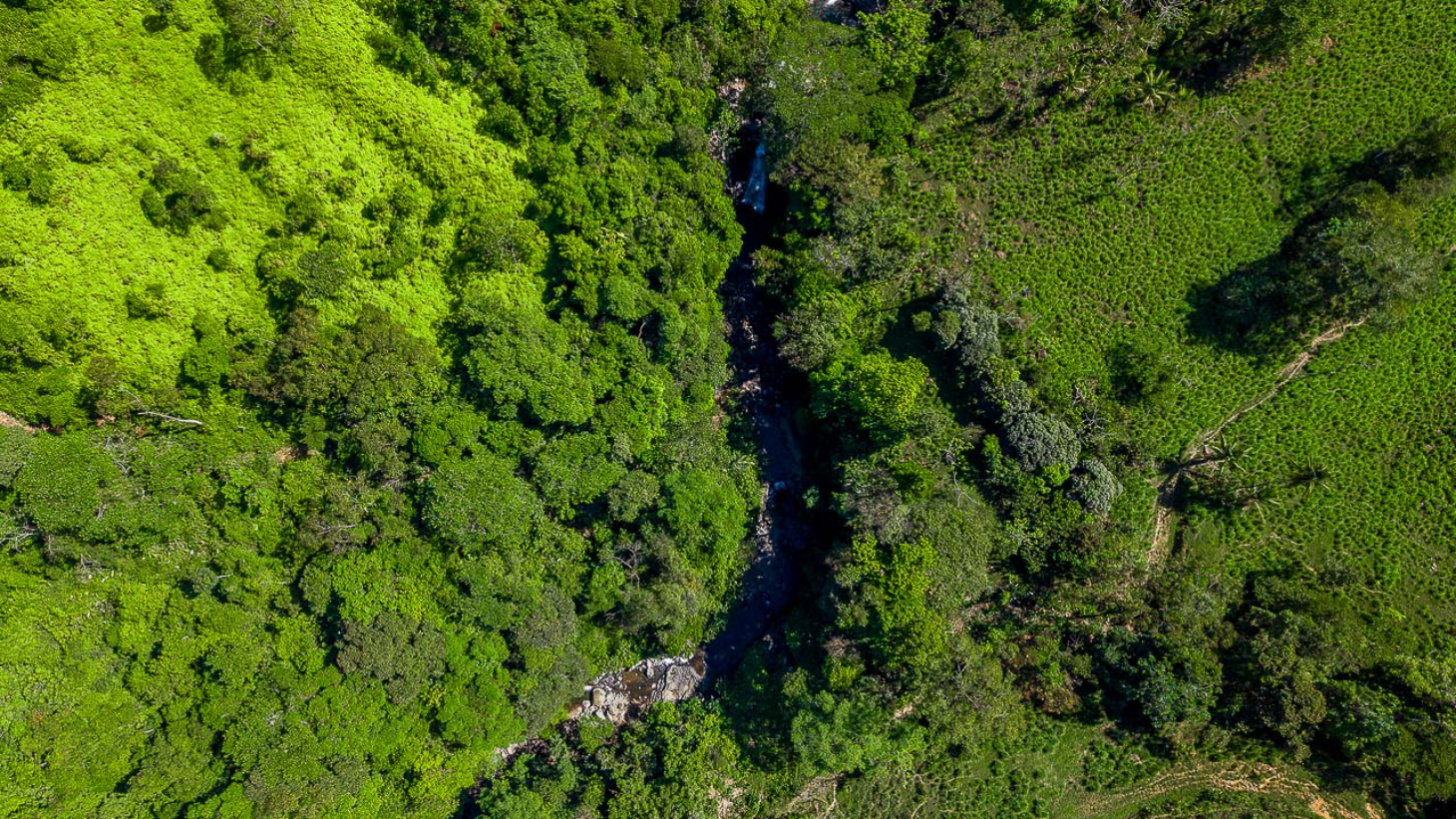Whale Tail Views Luxury Waterfall Farm selected