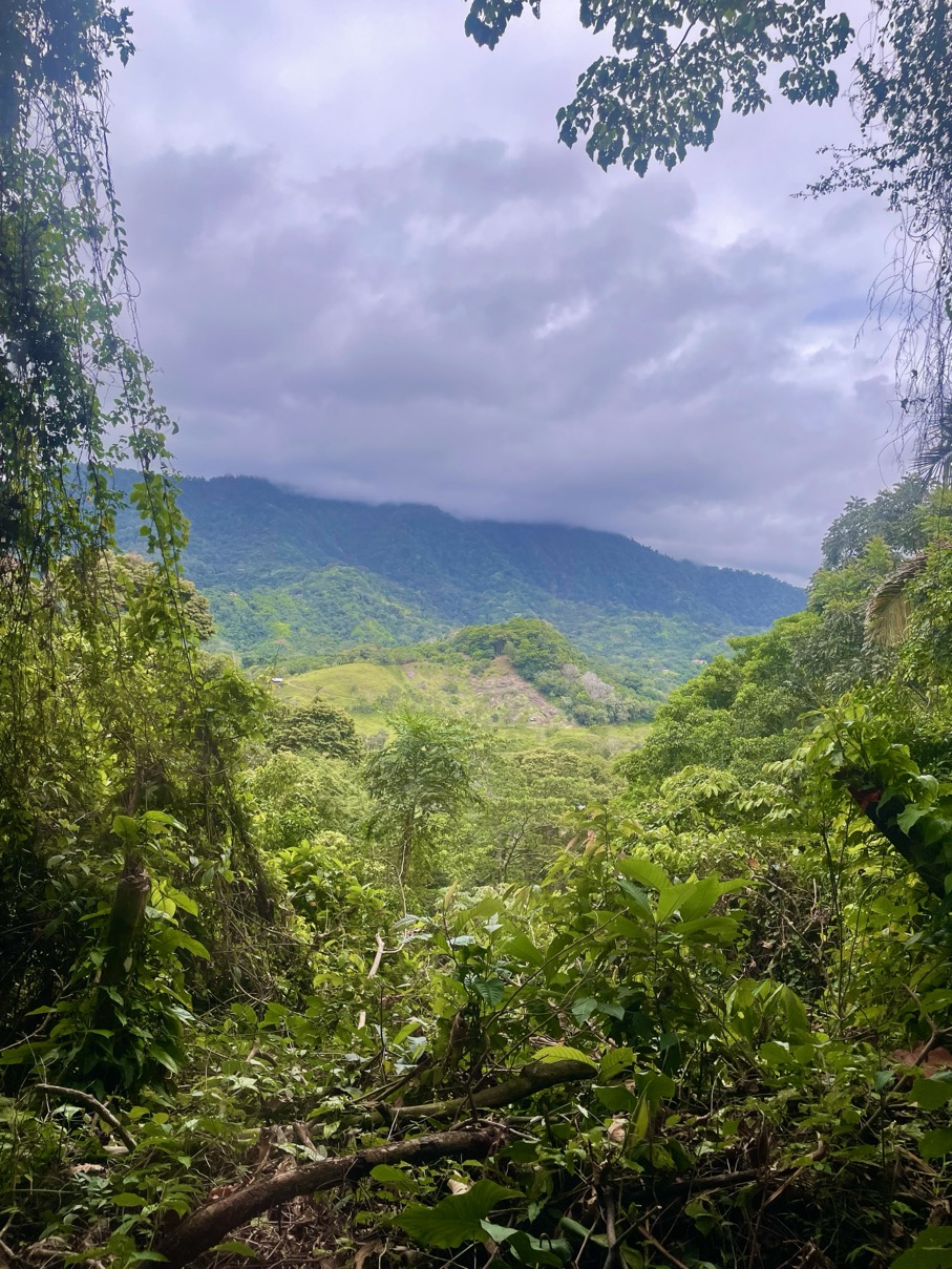 61.78 Acres of Oceanview Bliss with Private Waterfall in Tres Rios selected