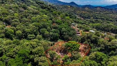 2.46 Acre Jungle Land for Sale in Ojochal with River Border image 2