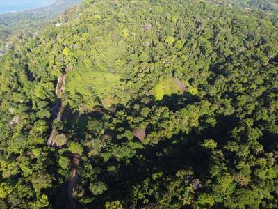 Expansive Escaleras Estate with Ocean Views, Jungle, and Development Potential image 5