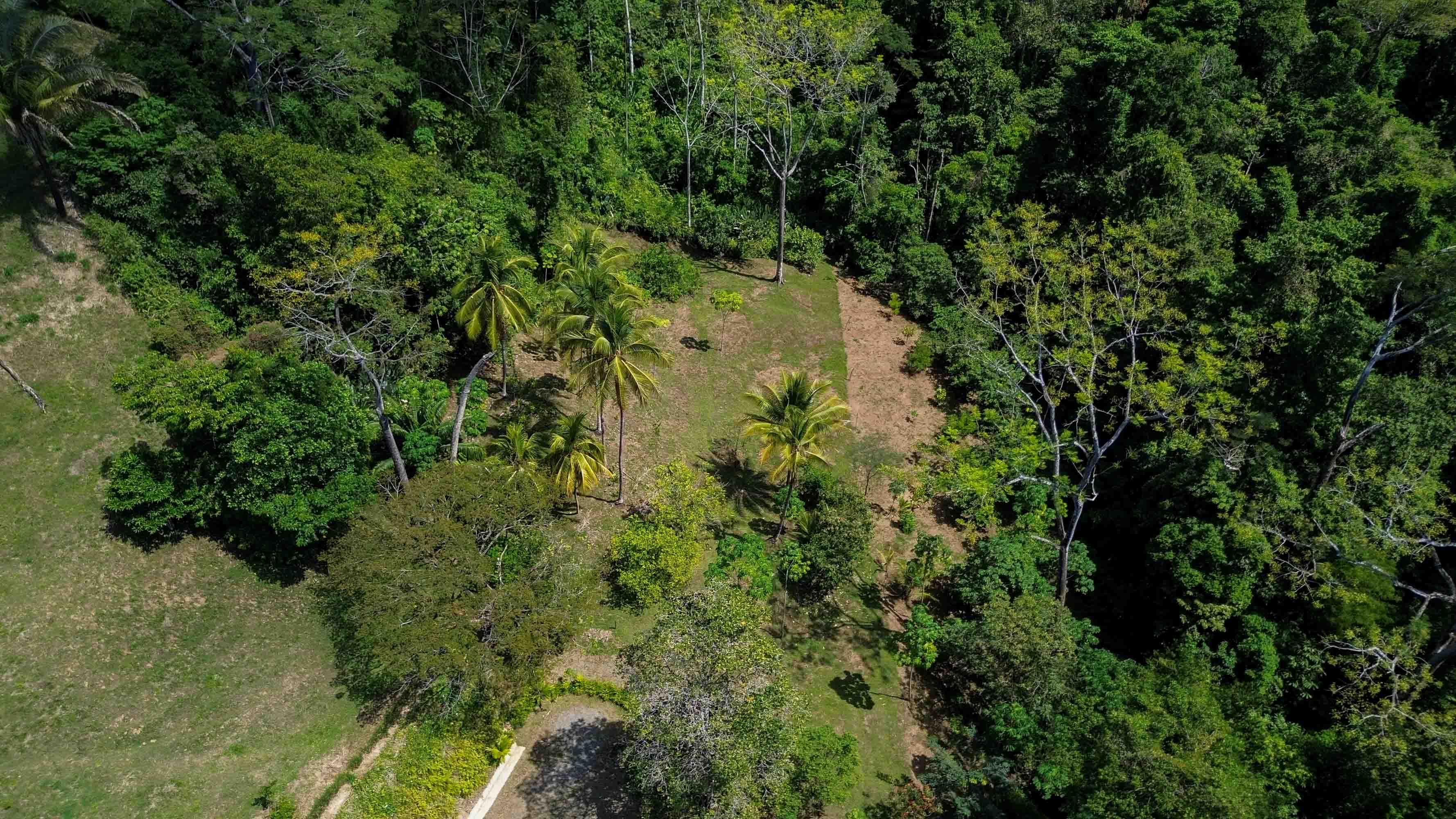 18-Acre Ocean View Development Parcel in Playa Hermosa selected