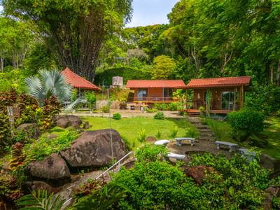Boutique Jungle Retreat with Panoramic Mountain Views in the Hills of Lagunas image 3