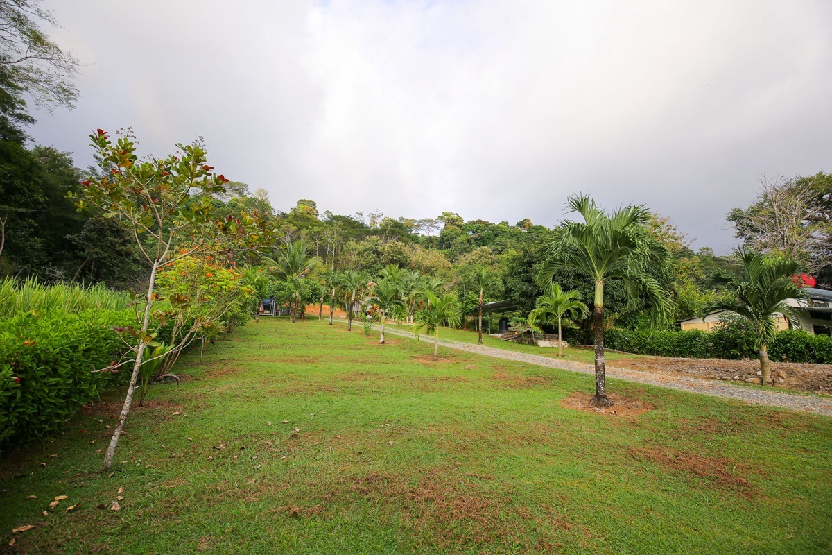 Commercial Opportunity With Restaurant, Home and Plenty Of Building Areas selected