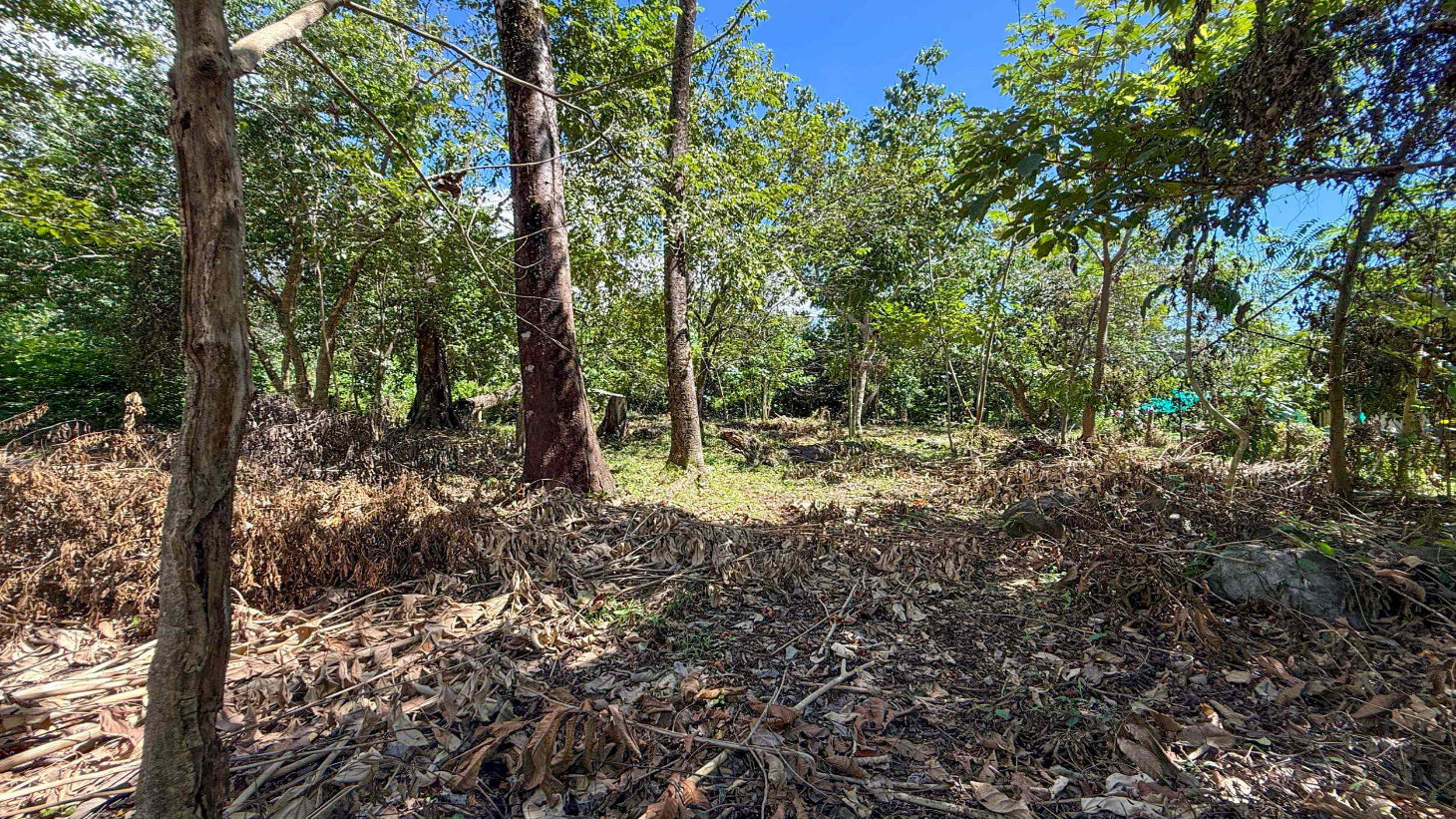 Easy-Access Building lot with Paved Road Access & All Utilities Available on a Flat Half-Acre in Ojochal Costa Rica selected
