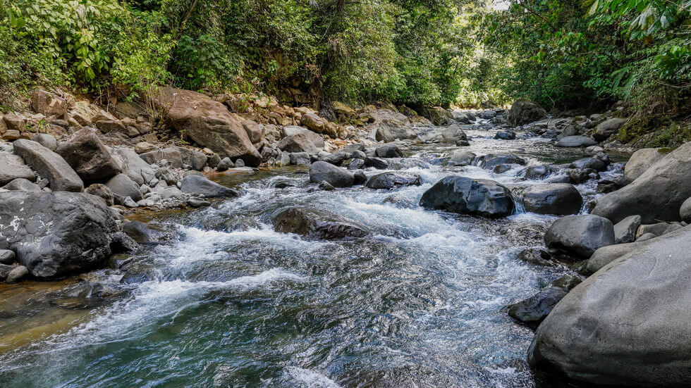 Beautiful 72 Acre Farm In Uvita With Waterfalls And Ocean Views selected