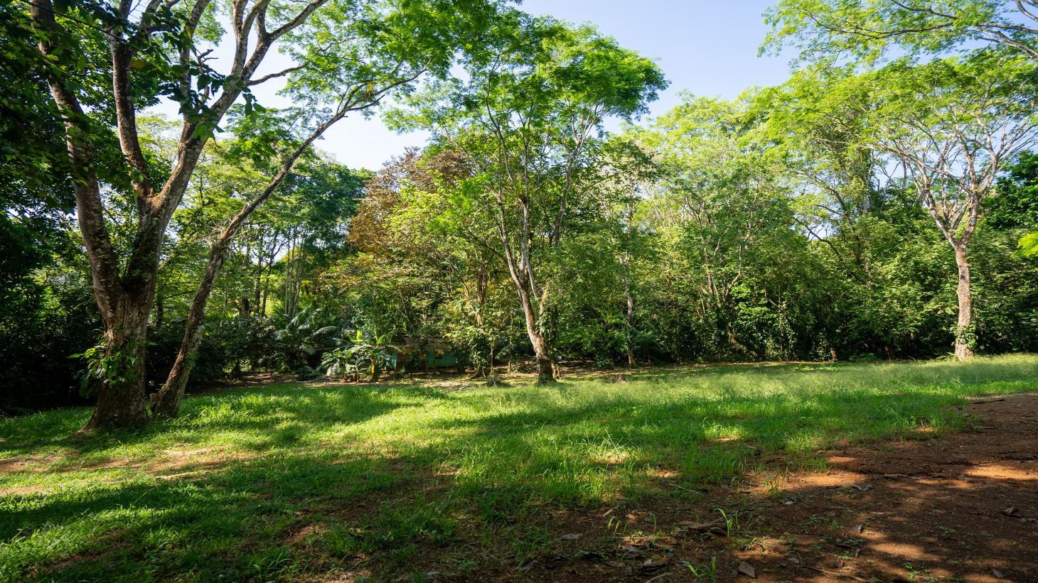 Rare 86-Acre Ocean View Estate Bordering Hacienda Barú – A Unique Opportunity for Conservation and Development selected