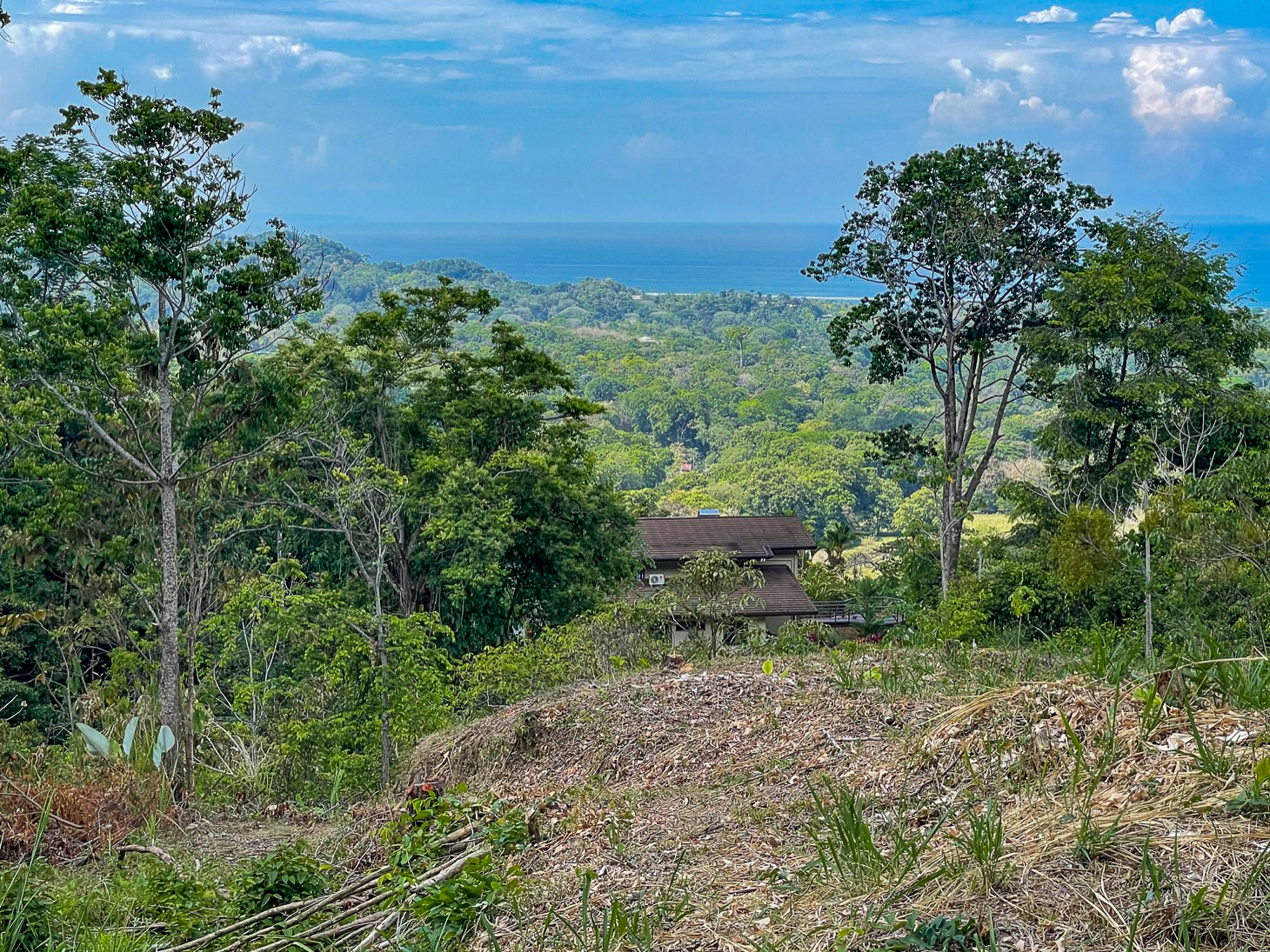 Excellent Dream Home Or Mini-Development Opportunity: 2.2-Acre Ocean View Property in Ojochal, Costa Rica selected