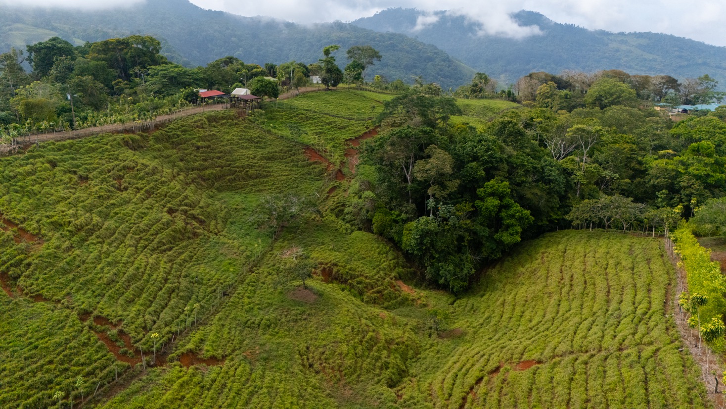 Ocean View Development Property with Waterfall Vista — 14.83 Acres in San Luis de Morete, Near Uvita selected