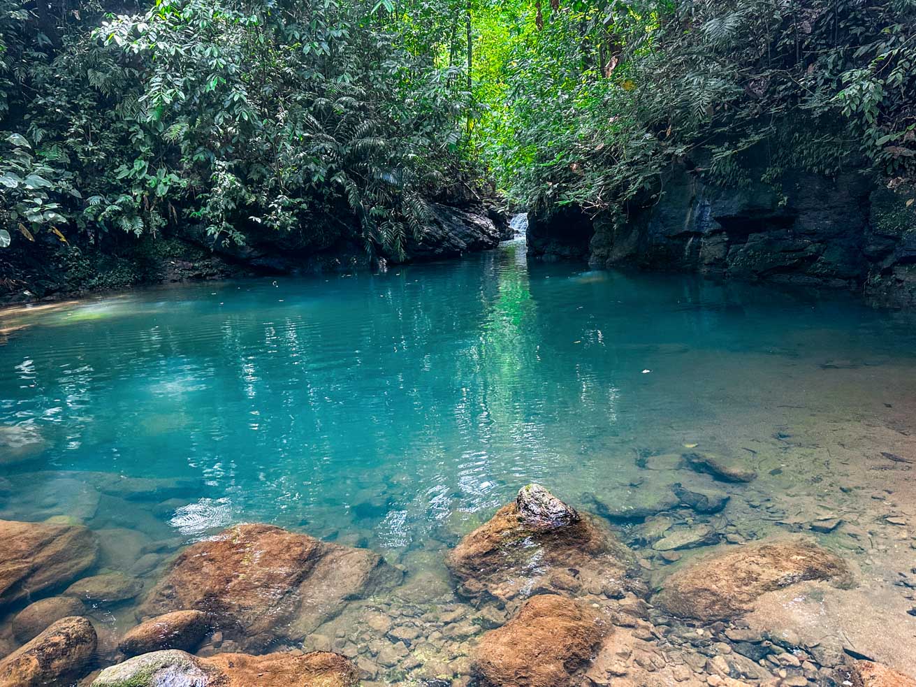 Exceptional 12-Acre Investment Property in Central Ojochal – Riverfront Jungle Estate with Home, Cabin, Workshop & Endless Development Potential selected