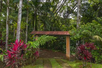 Serene Costa Rican Jungle Retreat with Waterfalls & Wildlife image 4