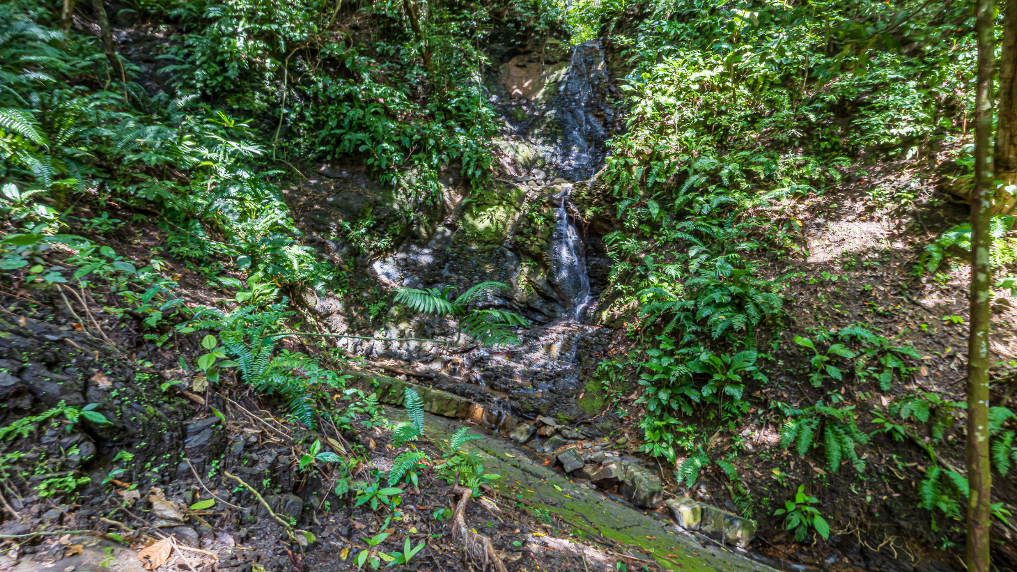 Rare 86-Acre Ocean View Estate Bordering Hacienda Barú – A Unique Opportunity for Conservation and Development selected