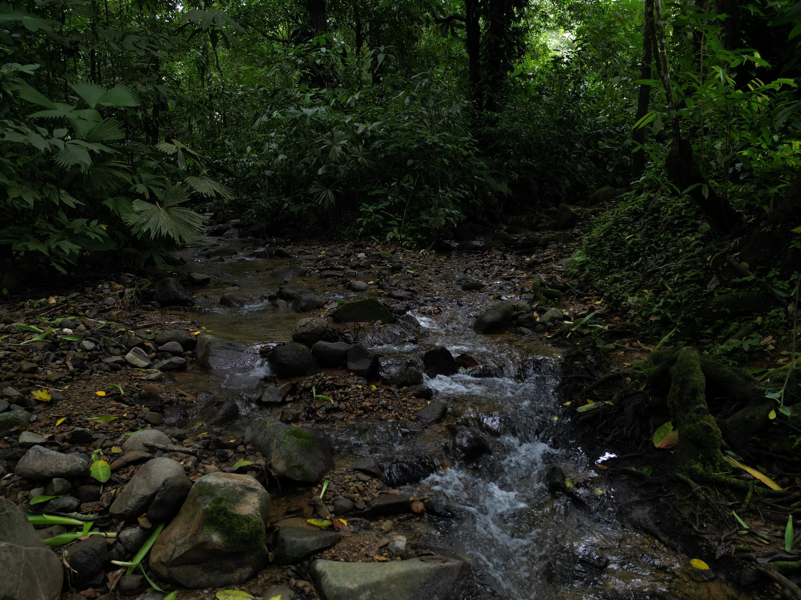 Turnkey Riverside Retreat in Ojochal selected