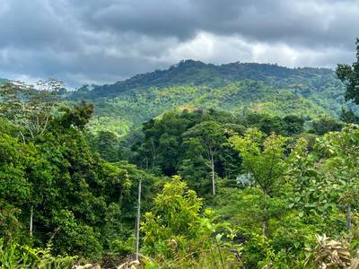 Build-Ready Mountain View Estate Lot in Tres Rios  image 2