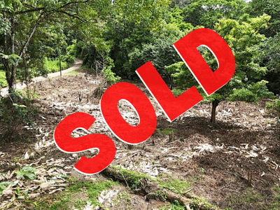 3.5 Acres with River Frontage in Tres Ríos image 1