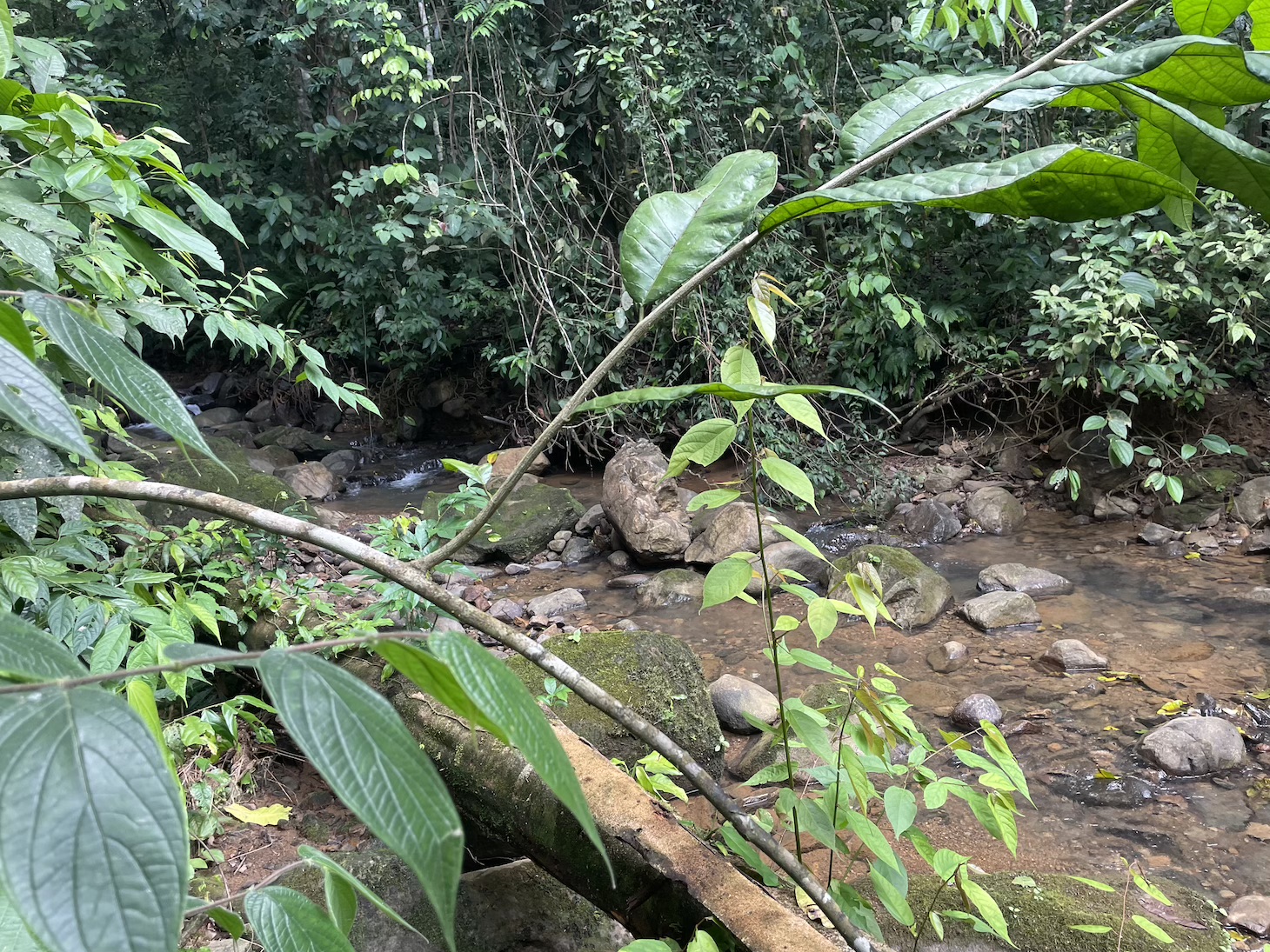 Exquisite Private Lot Bordering River with Mountain View in Ojochal, Phase 10 selected