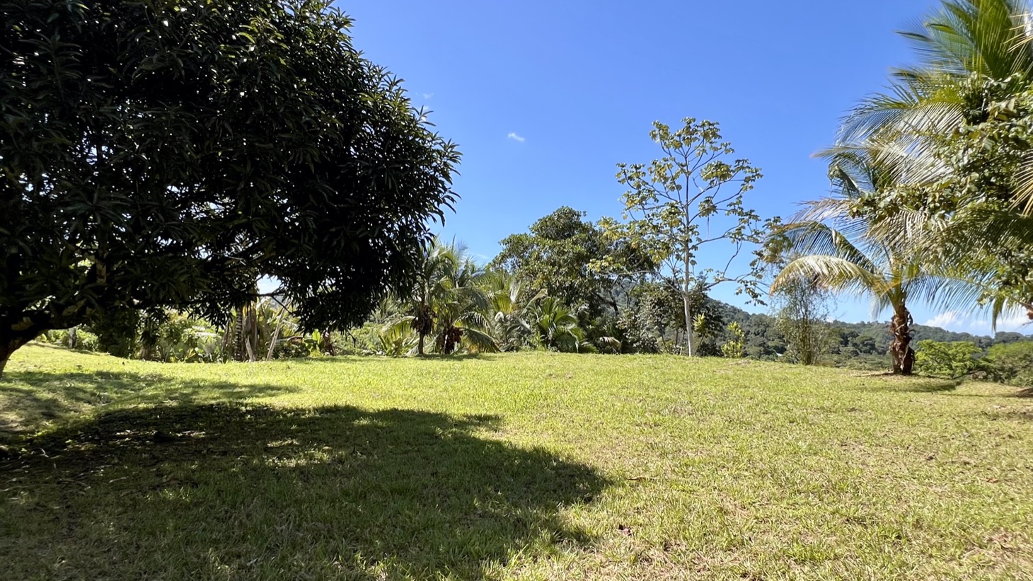 Exceptional Large Multi-Building Site Lot in Tres Ríos selected