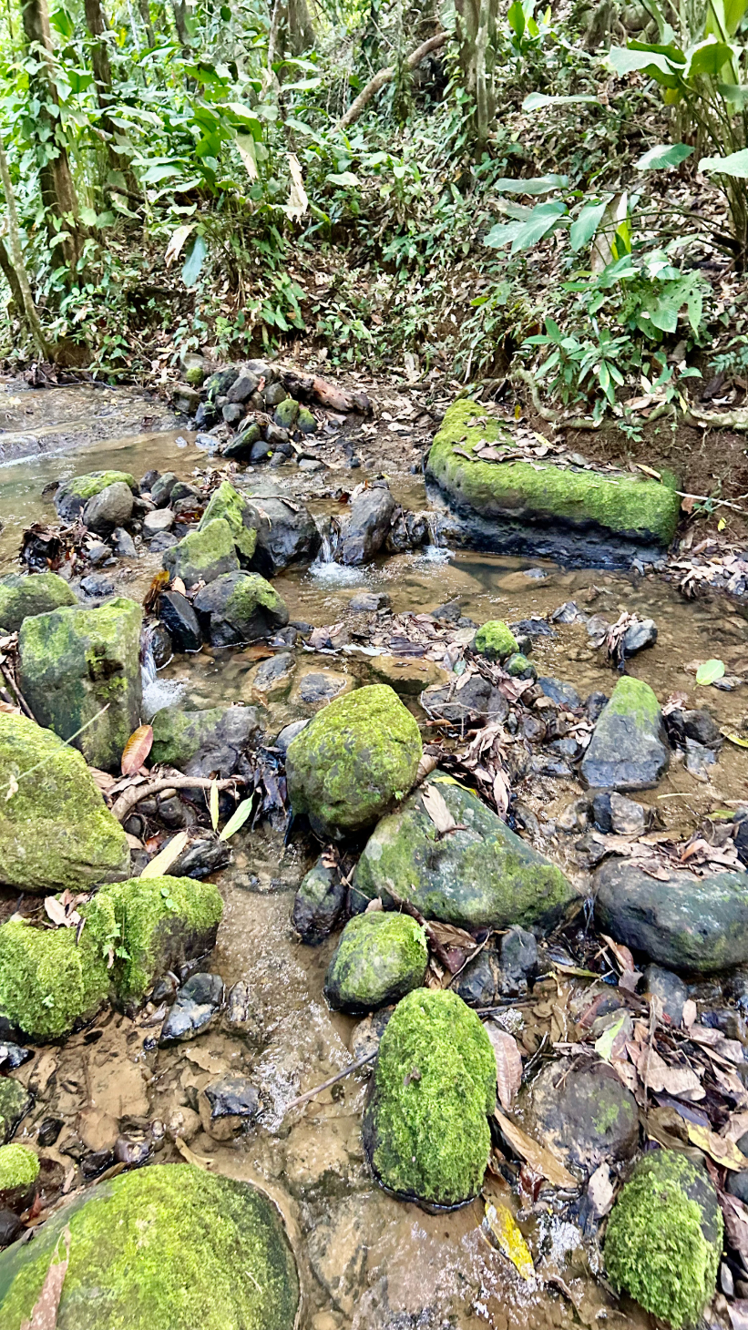 Private River Side Home Only Minutes From The Beach selected