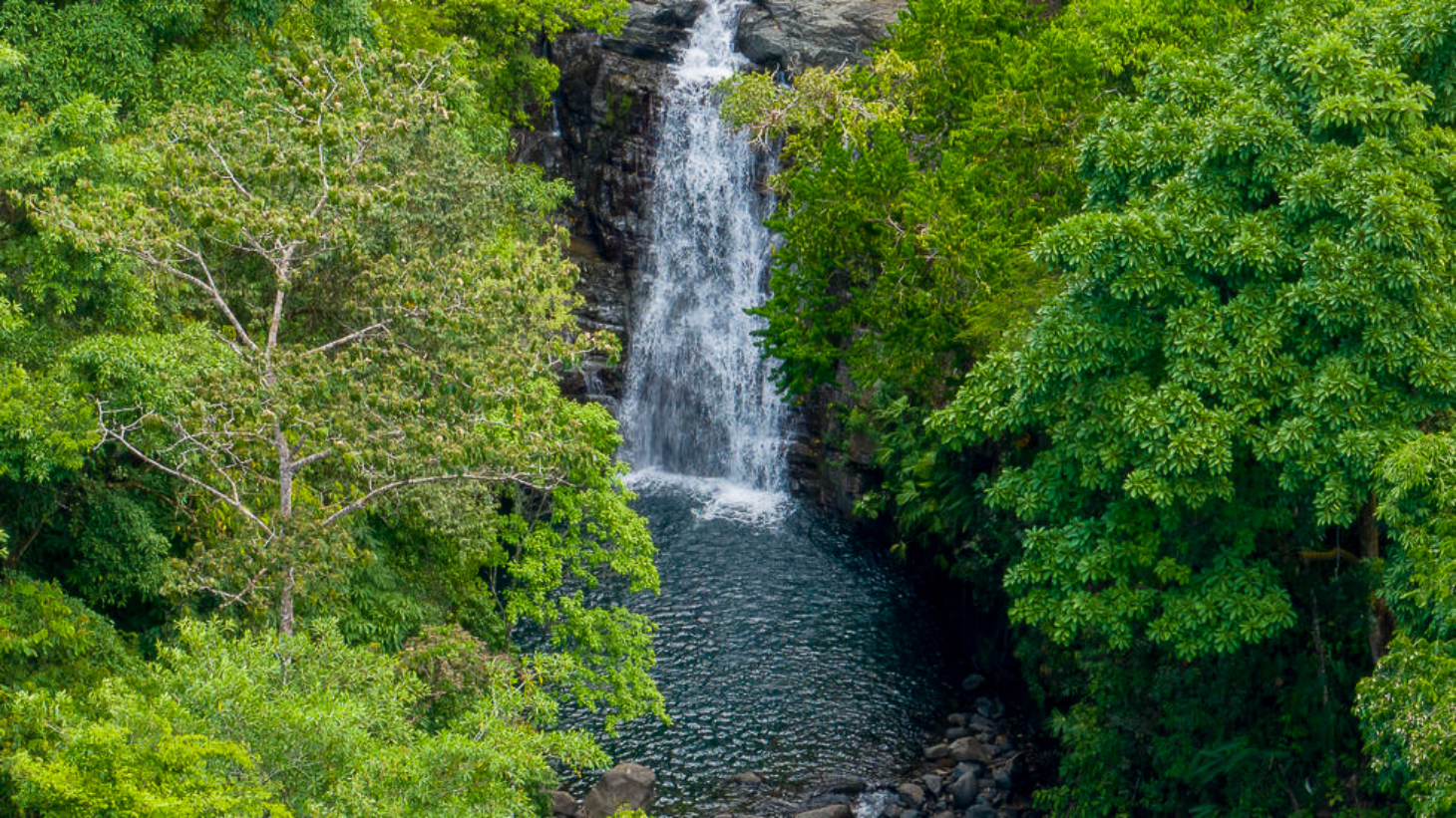 Whale Tail Views Luxury Waterfall Farm selected
