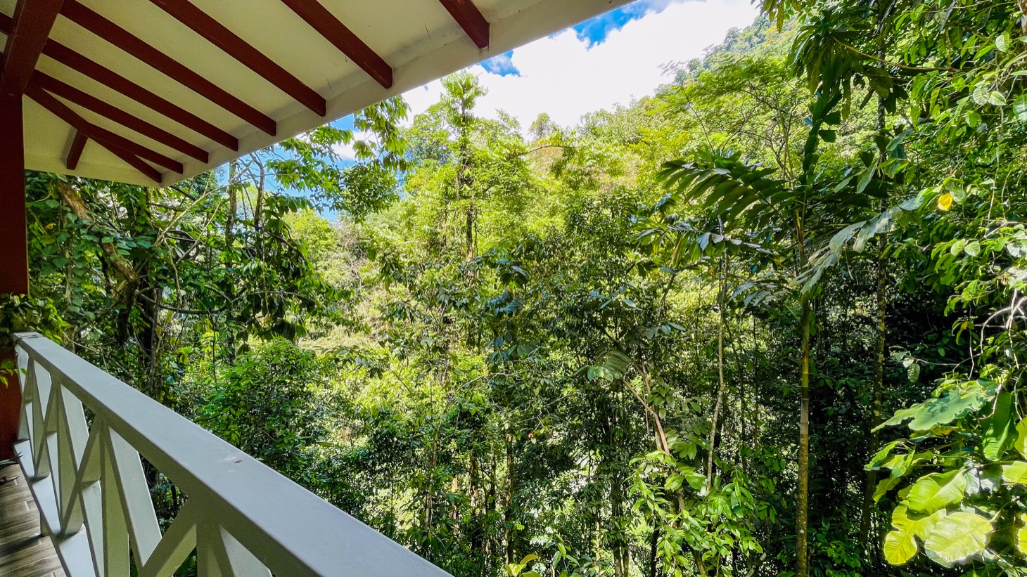 Nature Retreat Estate – Southern Pacific Zone, Costa Rica selected