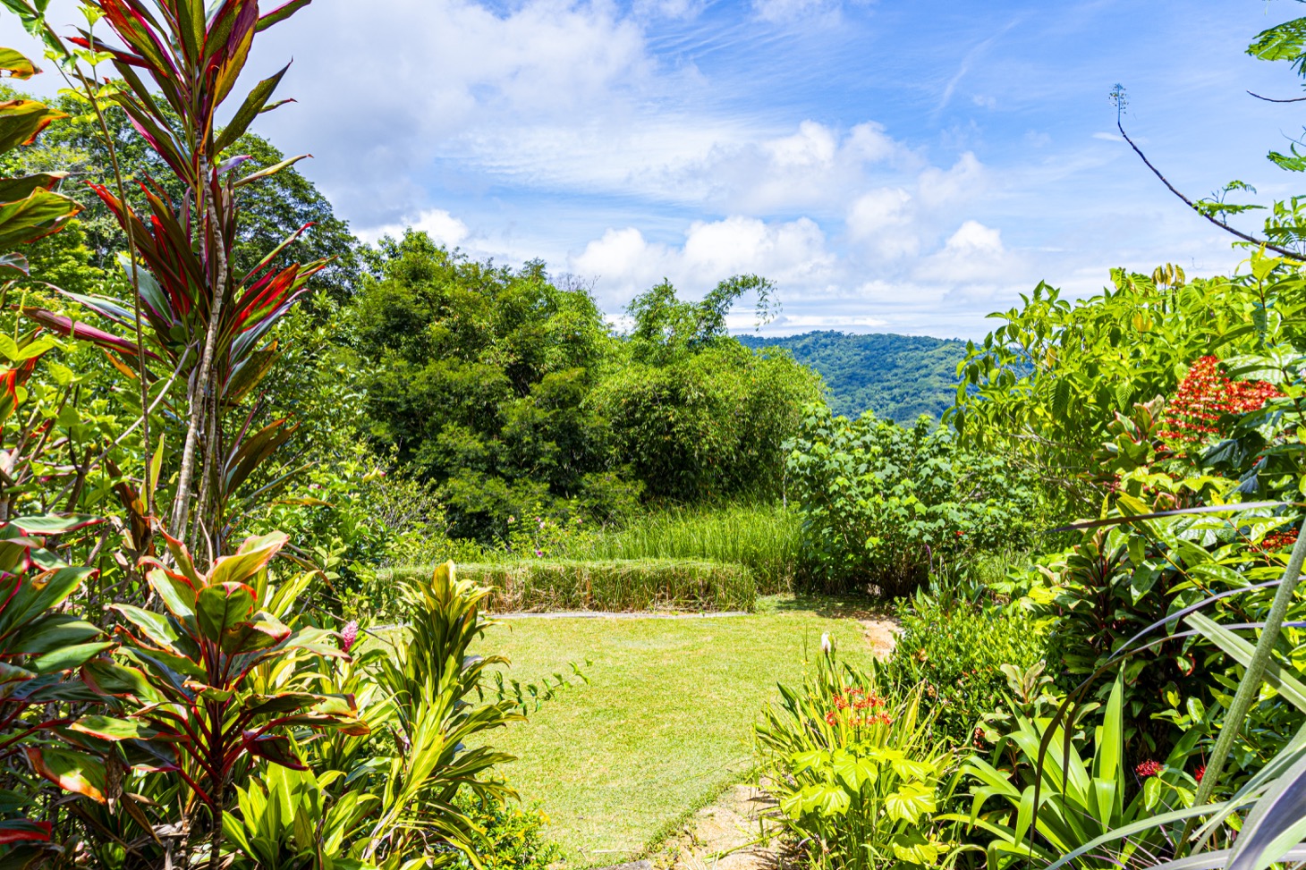 Move-In Ready Ocean View Home Surrounded by Nature selected