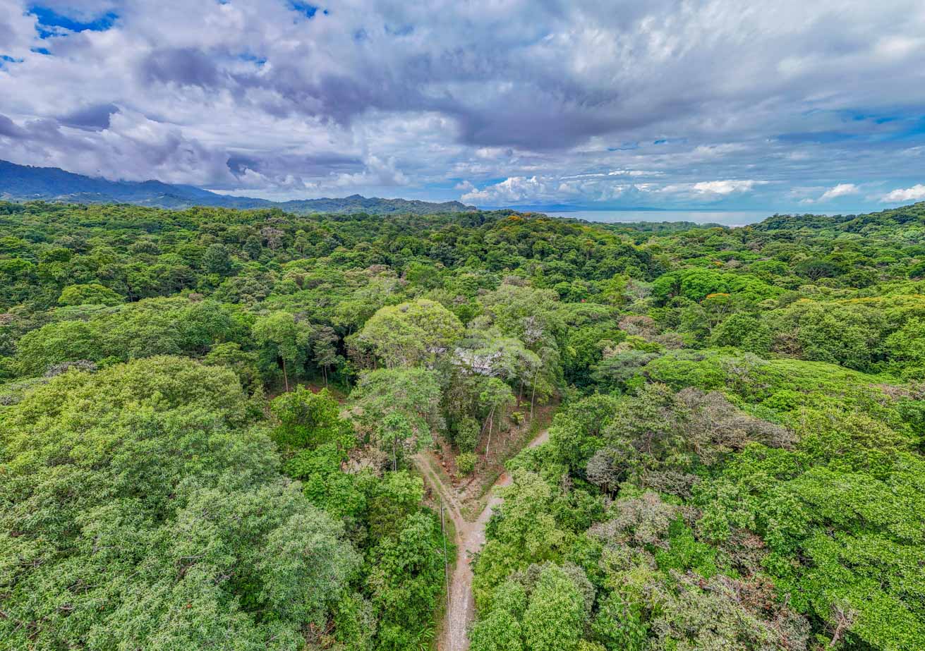 Jungle-Immersed Modern Retreat with Riverfront, Pool, and Expansion Potential in Cinco Ventanas selected