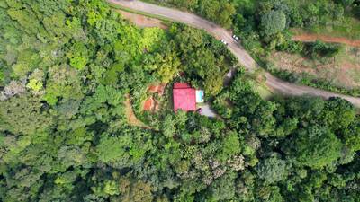 Valley of Dreams - A Beautiful Multi-Use Property Near Cacao Ridge, 10.85 Acres at a Phenomenal Price! image 4