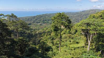 Premium Ocean View Homesite in Vista Dominical Estates - Lot #17 image 3