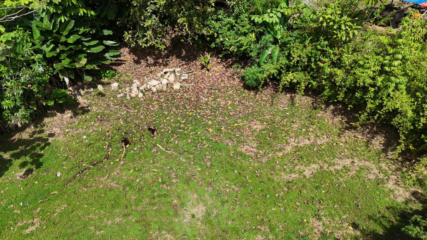 Build-Ready Ojochal Lot with Legal Water, Power & Private Setting selected