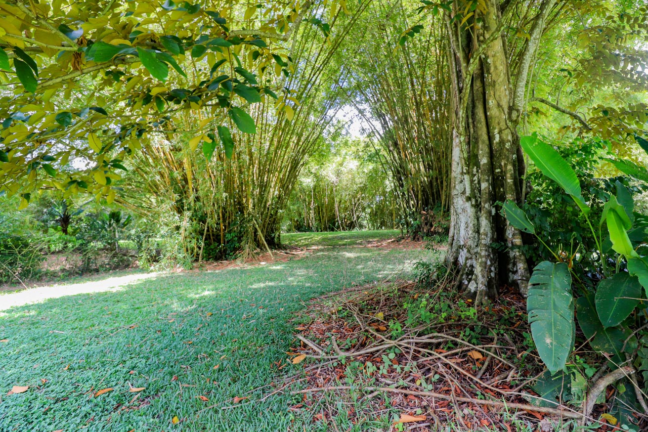 3.7-Acre Airport-Adjacent Property with Direct Runway Access, Prime Zoning, and Mountain Views selected