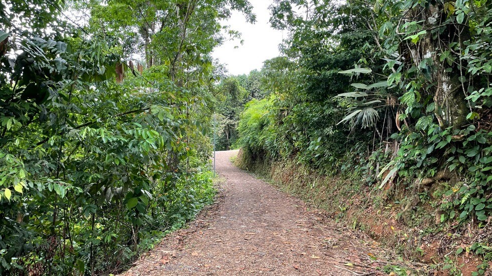 145 Acres With Swimming Holes, Waterfalls And Ocean Views selected