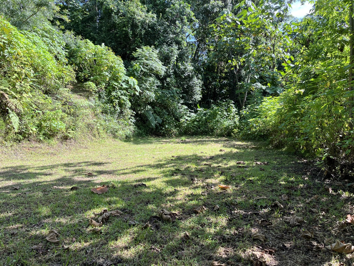 Charming Mountain Retreat in Vergel de Osa – Minutes from Ojochal, Beaches, and Waterfalls selected