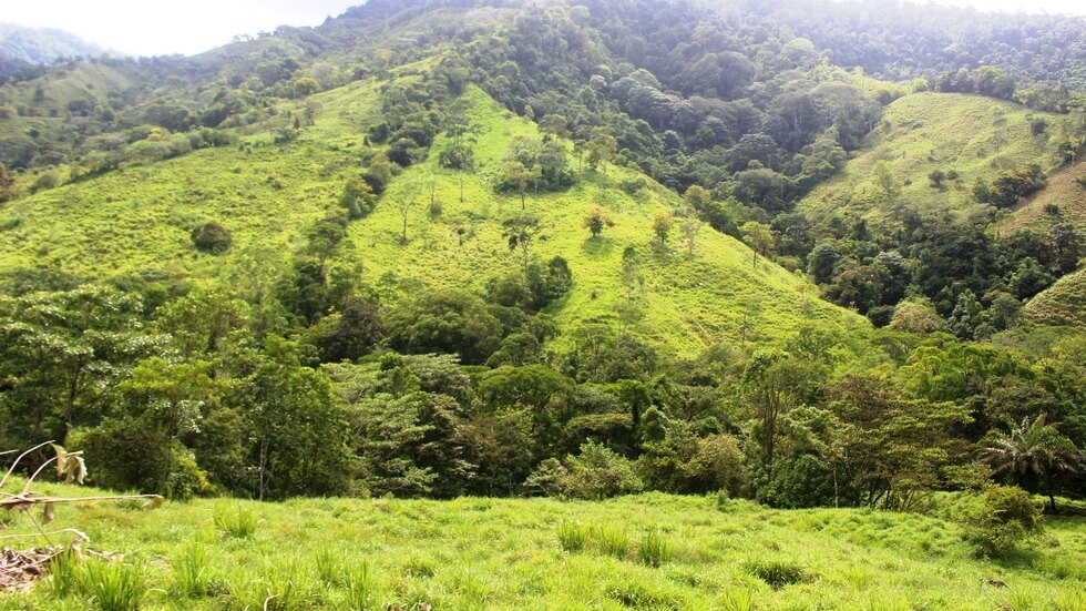 Beautiful 72 Acre Farm In Uvita With Waterfalls And Ocean Views selected