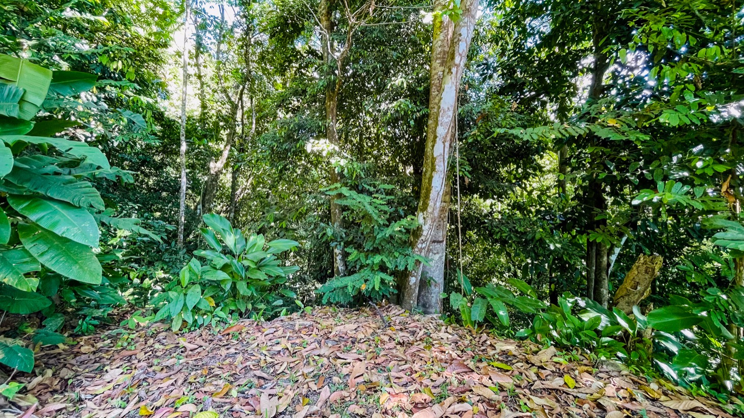 Private Mountain Sanctuary in Costa Rica awaits selected