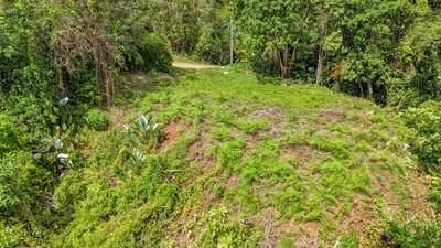 Jungle Lot for Sale in Ojochal With River & Waterfall image 5