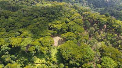 Your Private Jungle Retreat Just Minutes from Dominical image 3