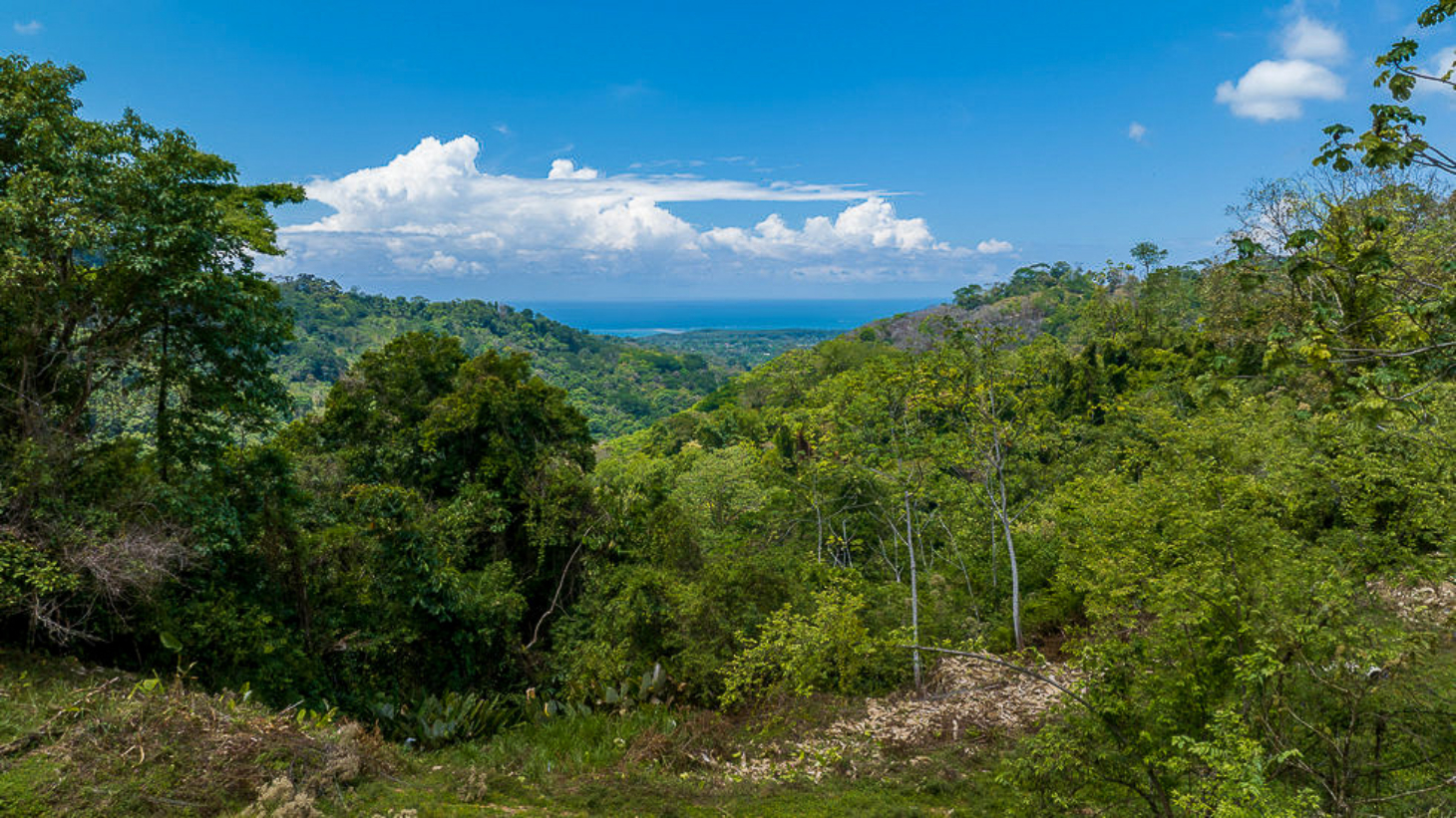 Whale Tail Views Luxury Waterfall Farm selected