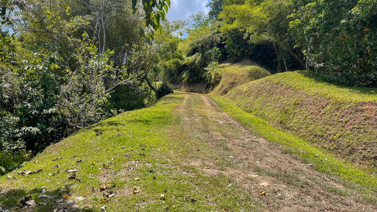 Private & Ready to Build Ocean View Land for Sale in Uvita, Costa Rica  selected