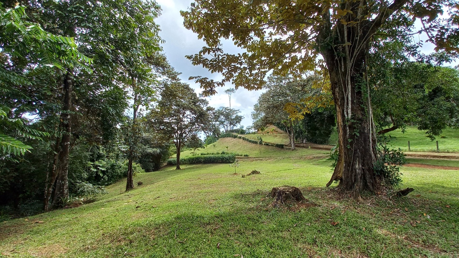 1.8 Acre All Usable Land with Pocket Ocean View Ripe for Development selected