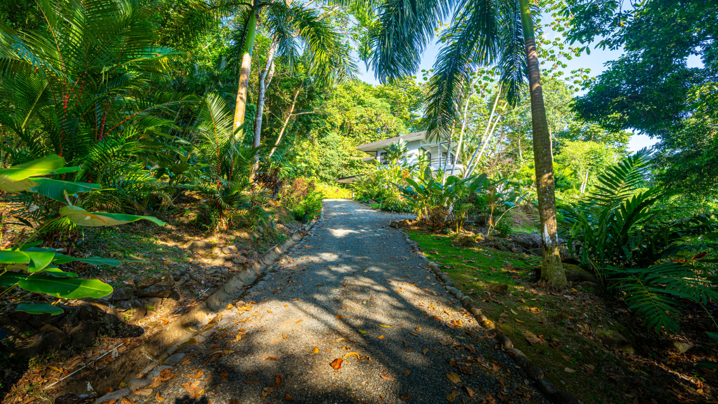 Private Oceanview Sanctuary Above Uvita's Iconic Whales Tail, 3 Bed, 3 Bath selected