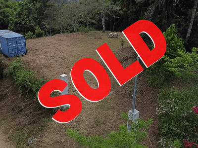 Lot with Jungle and Mountain View in Platanillo image 1
