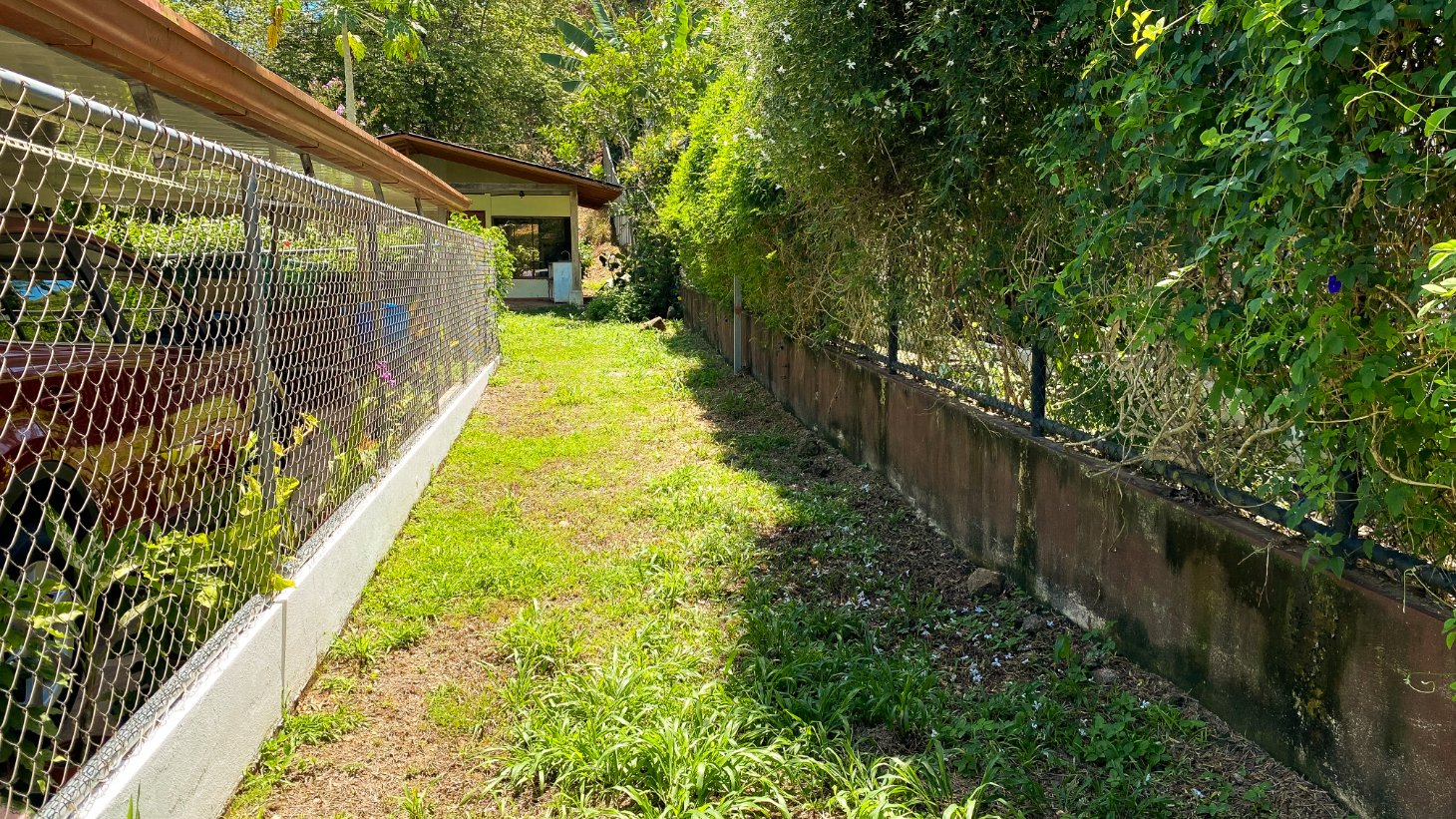 Prime Development Land in Ojochal with Cabin | Subdivision Opportunity selected
