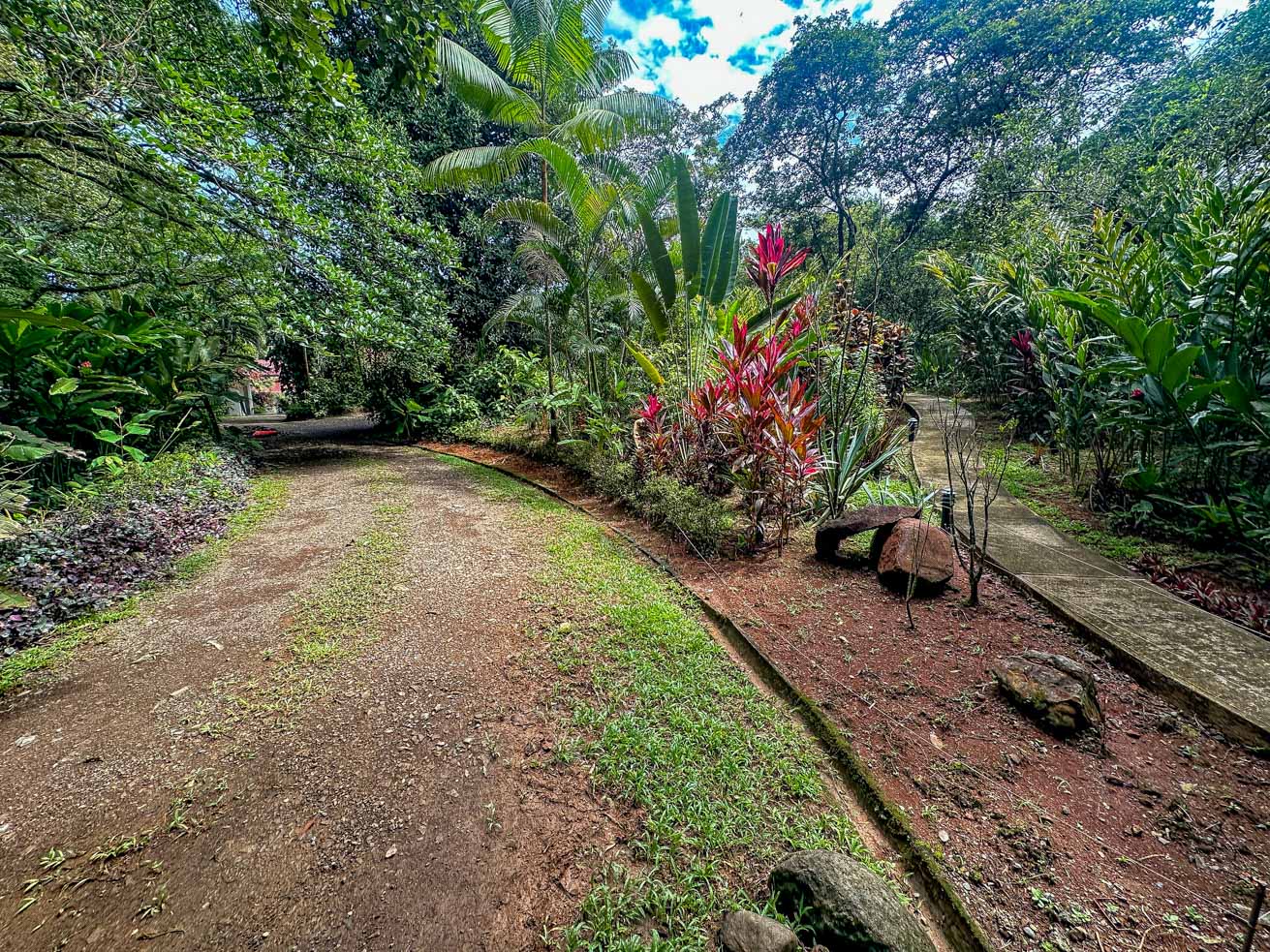 Jungle Sanctuary with Income-Generating Casitas, Creek, Pool & Ultimate Privacy in Ojochal selected