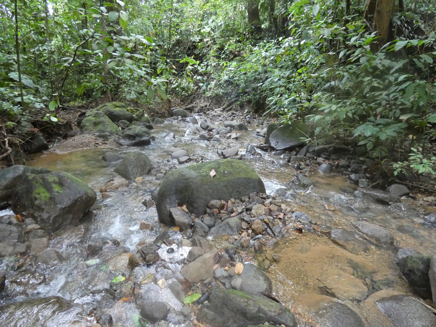 Discover Your Dream Lot in the Heart of Caracara Ridge, Ojochal selected