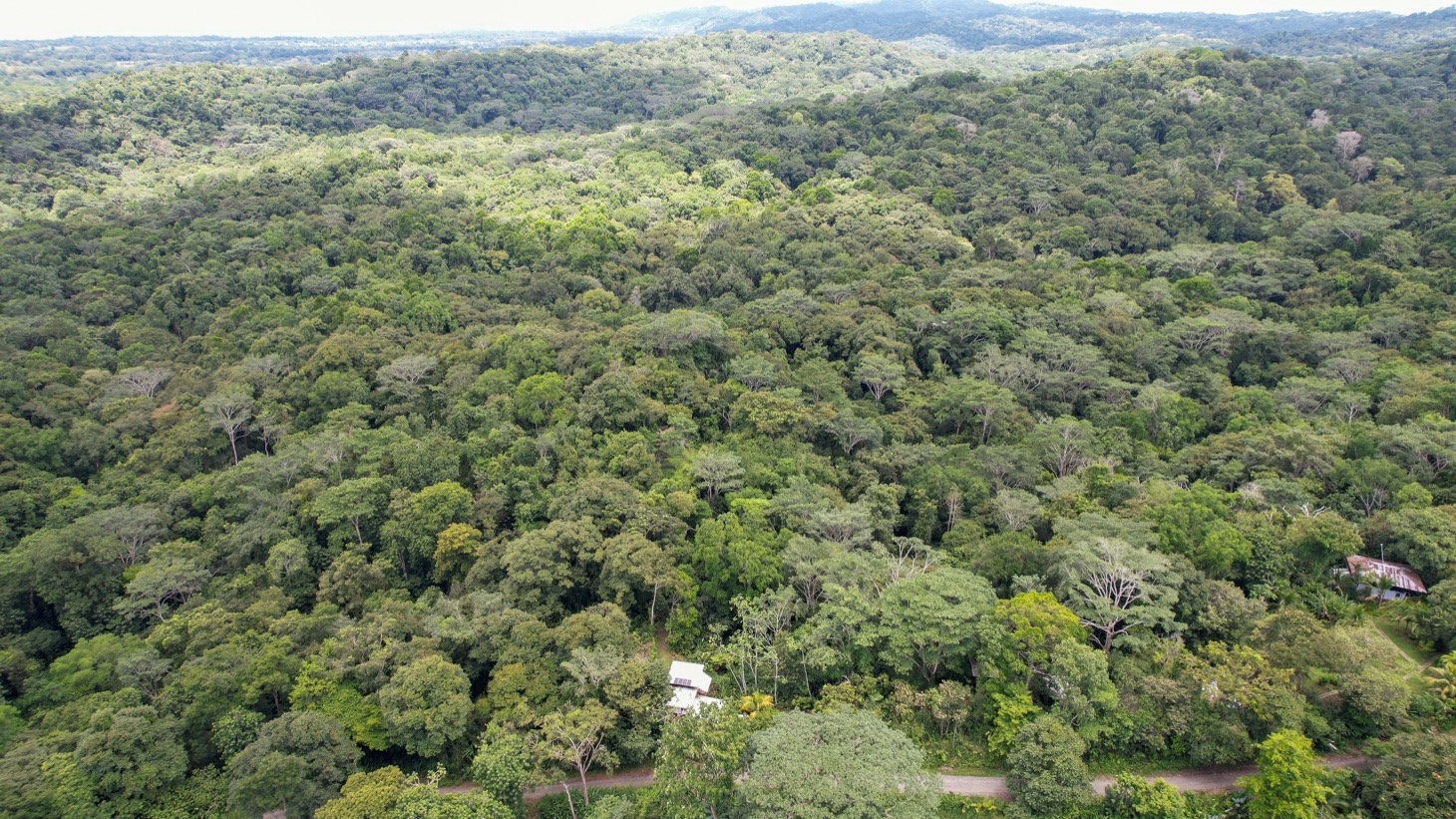 14-Acre Eco-Haven with Ocean View & Riverfront, Minutes from Beaches and National Park selected